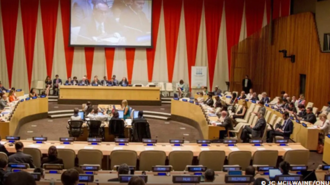 BRASIL É ELEITO PARA O CONSELHO DA ONU E REFORÇA PROTAGONISMO NO CENÁRIO GLOBAL  